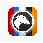 greyhound bet app download
